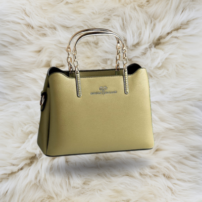 Elegant Handbag with Golden Chain Handles – Glimzia Women’s Fashion